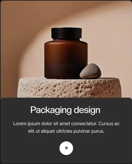 Packaging design project